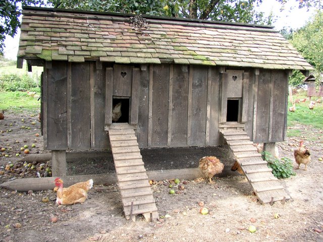 2011 09 24 Sortie ferme de la Noue 03